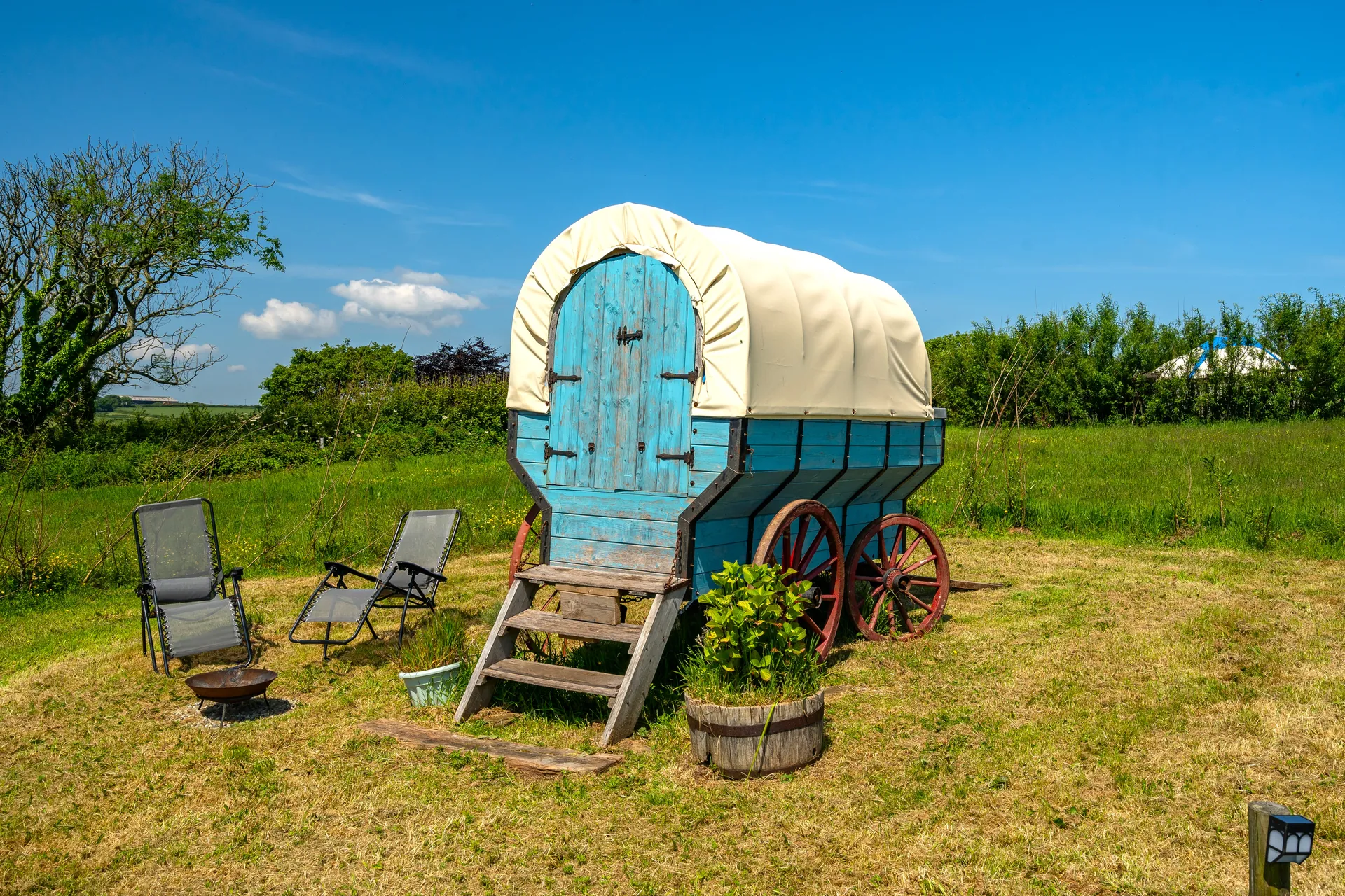 Blue Jay Wagon