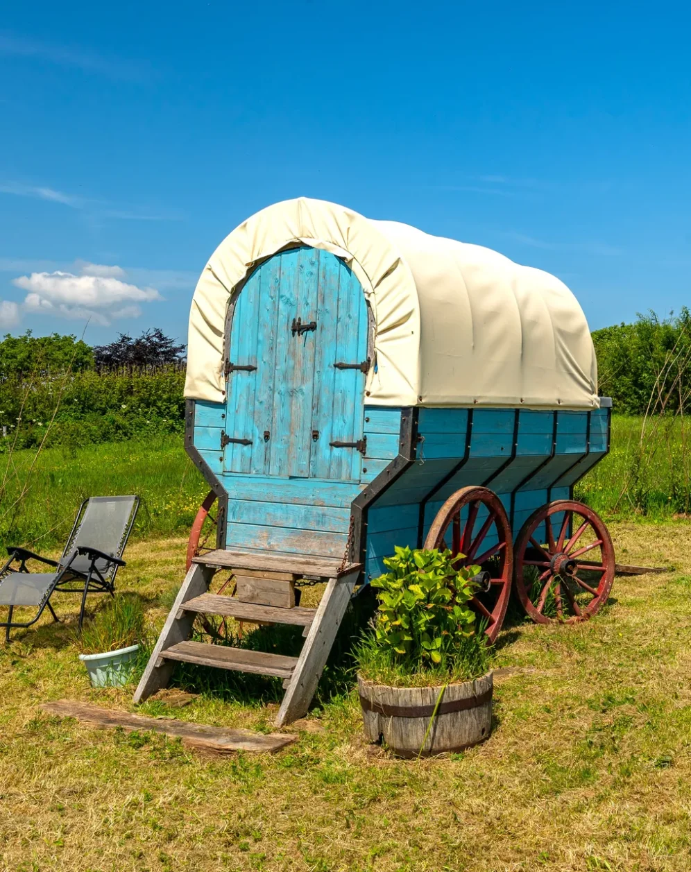 Blue Jay Wagon — view 2